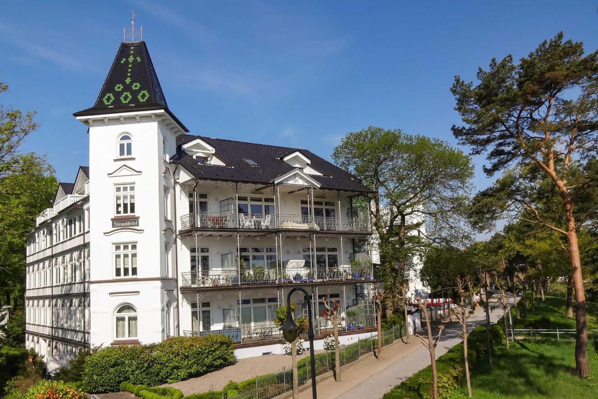 Apartment Stranddistel Pusteblume *